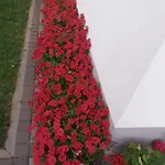 Pansion Ljubica Pensión 2*