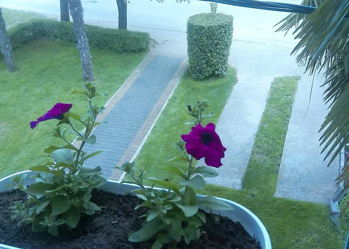 Pansion Ljubica Pensión Međugorje