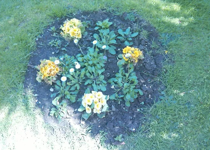 Pansion Ljubica Pensión 2*