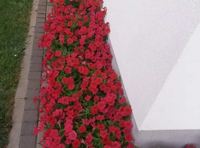 Pansion Ljubica Pensión 2*